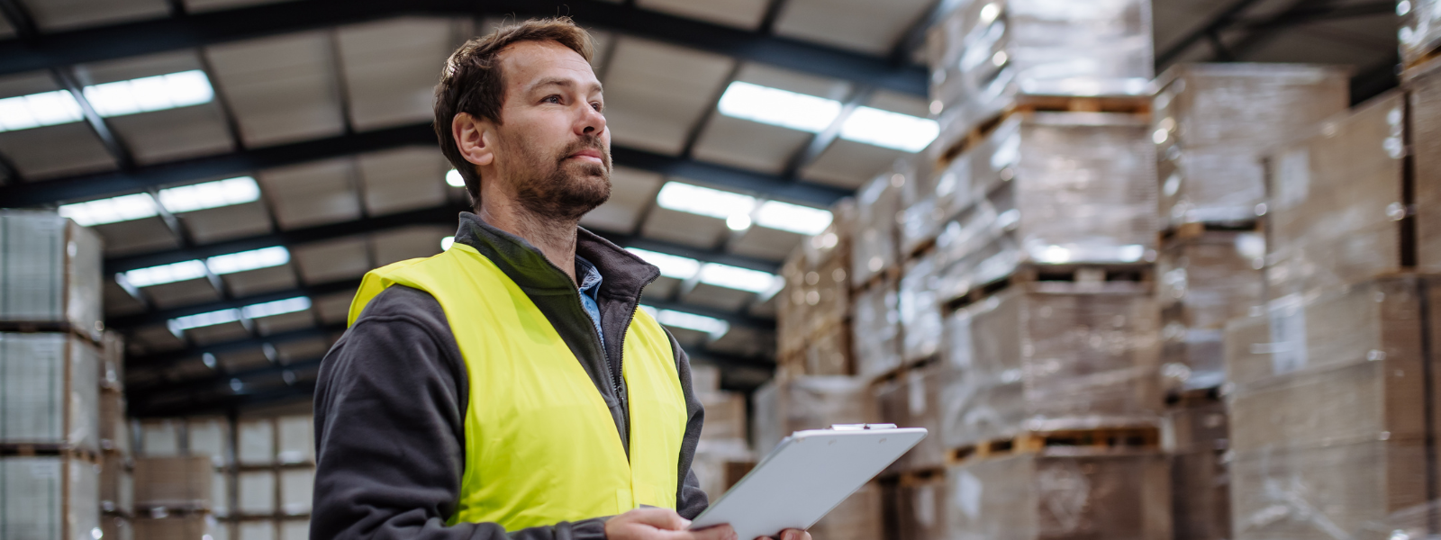 Diversification: The Key to Survival in Today’s Moving Industry